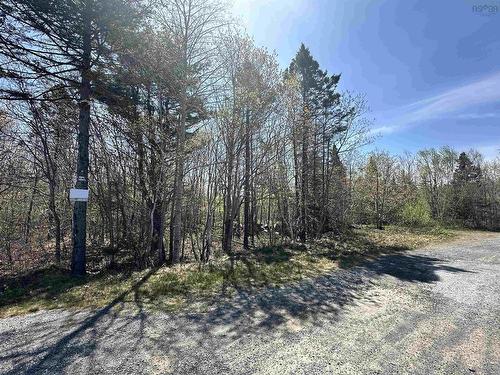 Lot White Point Connector, White Point, NS 