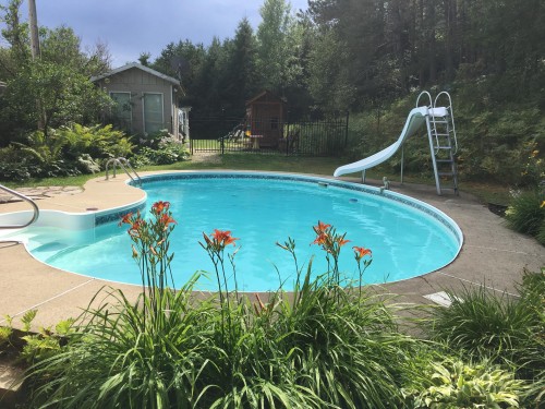 Piscine - 8829 Route 117 S., Rivière-Rouge, QC - Outdoor With In Ground Pool With Backyard
