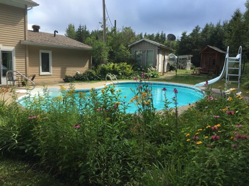 Piscine - 8829 Route 117 S., Rivière-Rouge, QC - Outdoor With In Ground Pool