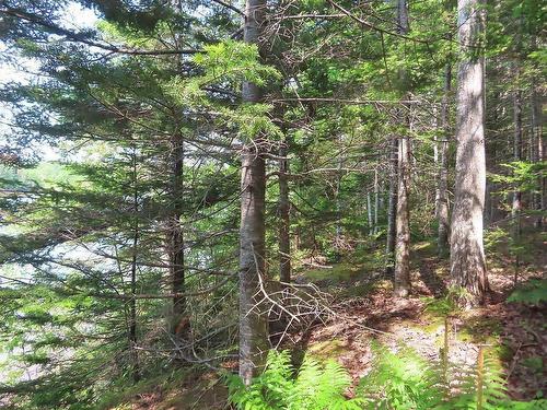 Lot 12A Dorothy Robinson Drive, Evanston, NS 