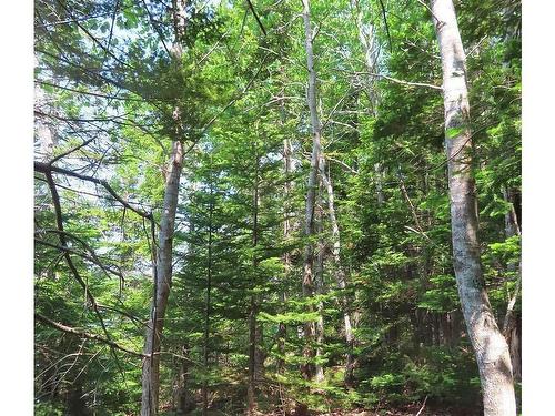 Lot 12A Dorothy Robinson Drive, Evanston, NS 