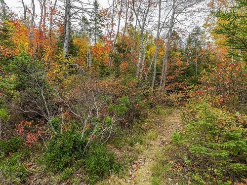 Scott'S Point Road, East Dover, NS 