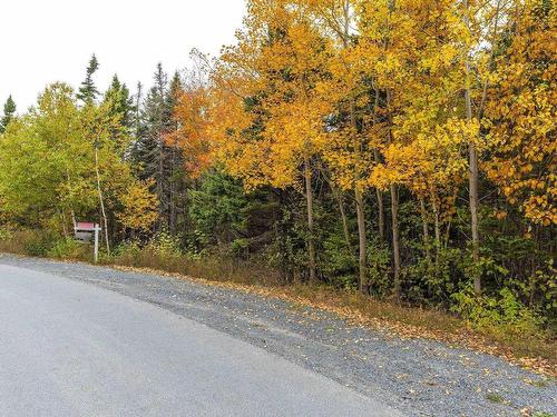 Scott'S Point Road, East Dover, NS 