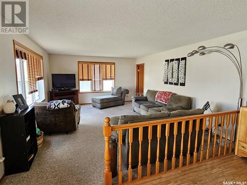 115 Carson Bay, Lampman, SK - Indoor Photo Showing Living Room