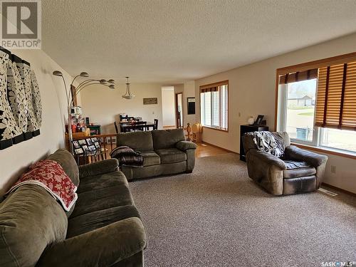 115 Carson Bay, Lampman, SK - Indoor Photo Showing Living Room