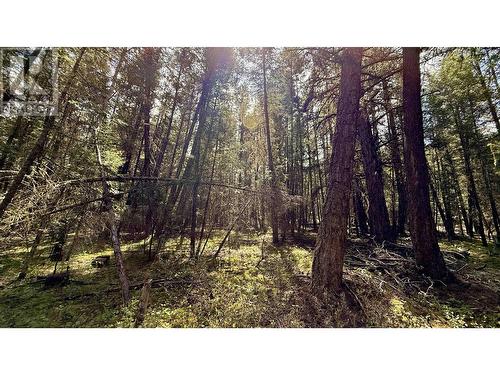 4460 Tatton-Helena Fs Road, Lac La Hache, BC - Outdoor With View