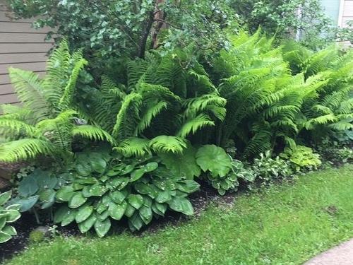 Terre/Terrain - 8829Z Route 117 S., Rivière-Rouge, QC - Outdoor