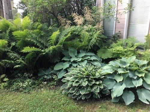 Terre/Terrain - 8829Z Route 117 S., Rivière-Rouge, QC - Outdoor