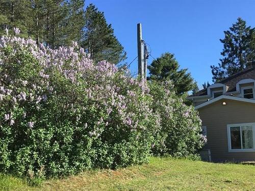 Terre/Terrain - 8829Z Route 117 S., Rivière-Rouge, QC - Outdoor