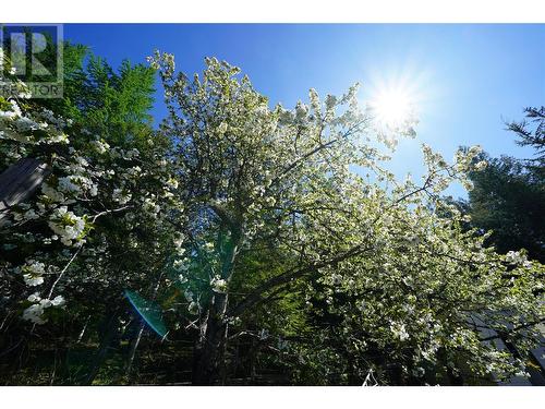 425 Alexander Road, Procter, BC - Outdoor