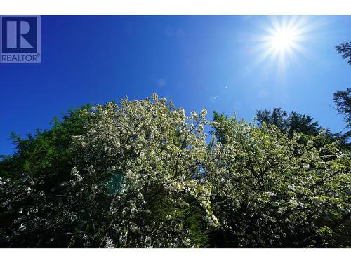 425 Alexander Road, Procter, BC - Outdoor