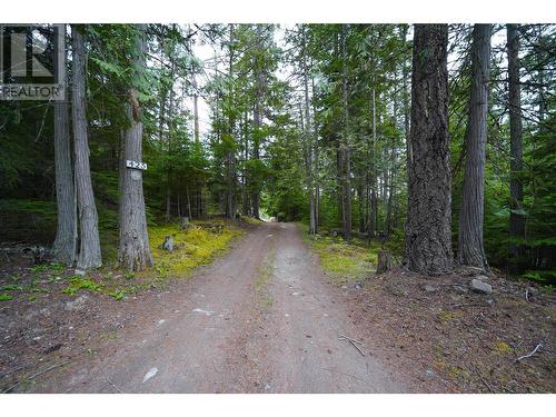 425 Alexander Road, Procter, BC - Outdoor