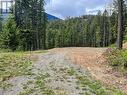 Lot 13 Pine Ridge Road, Kaslo, BC 
