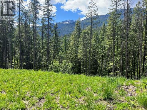 Lot 13 Pine Ridge Road, Kaslo, BC 