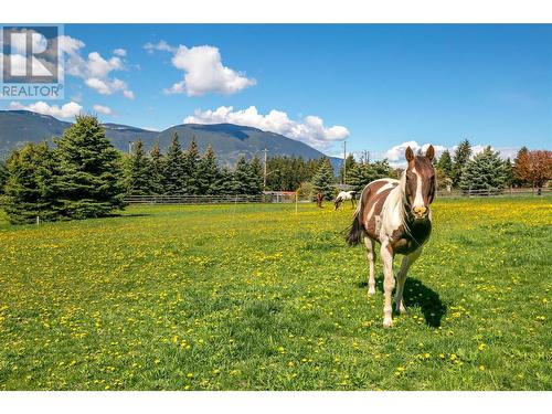 2190 30 Street Ne, Salmon Arm, BC - Outdoor With View