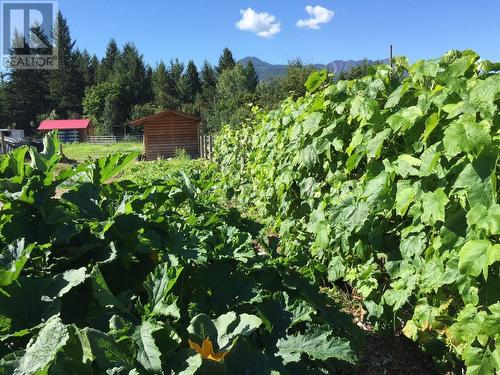 2190 30 Street Ne, Salmon Arm, BC - 