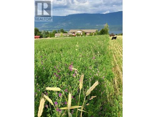 2190 30 Street Ne, Salmon Arm, BC -  With View