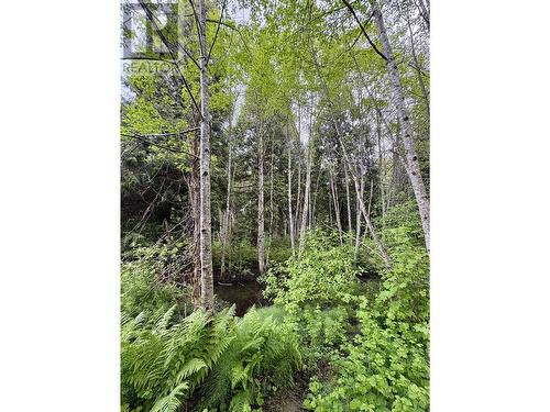5380 Centennial Drive, Terrace, BC - Outdoor