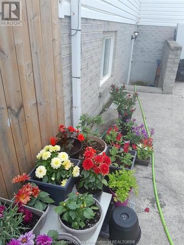 75 Sutton, Leamington, ON - Outdoor