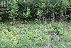 ..road just to left of For Sale sign-check it out - 