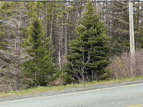 138 - 146 Conception Bay Highway, Holyrood, NL 