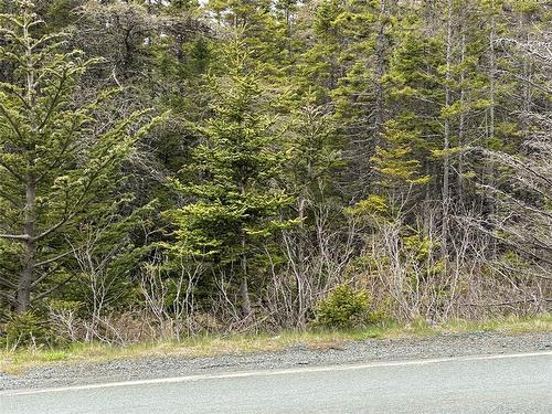 138 - 146 Conception Bay Highway, Holyrood, NL 