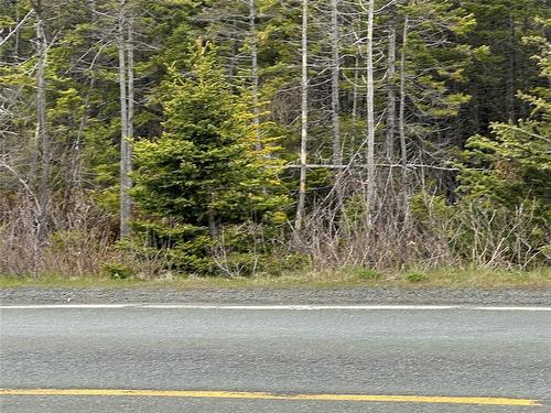 138 - 146 Conception Bay Highway, Holyrood, NL 