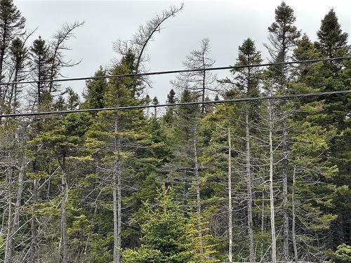 138 - 146 Conception Bay Highway, Holyrood, NL 