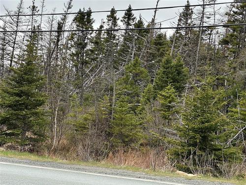 138 - 146 Conception Bay Highway, Holyrood, NL 