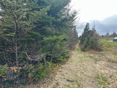 138 - 146 Conception Bay Highway, Holyrood, NL 