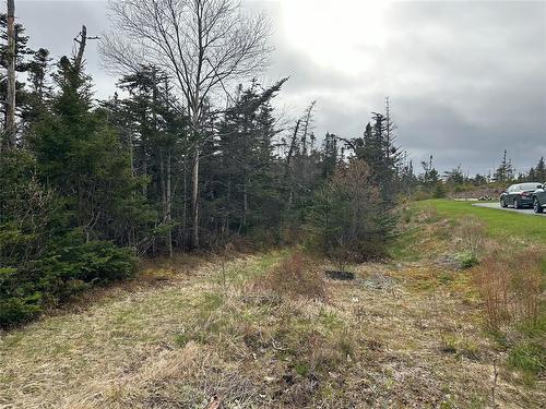 138 - 146 Conception Bay Highway, Holyrood, NL 