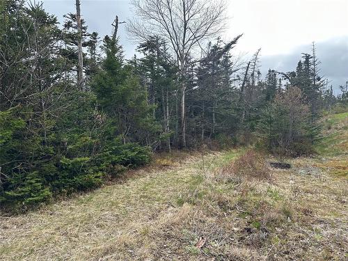 138 - 146 Conception Bay Highway, Holyrood, NL 