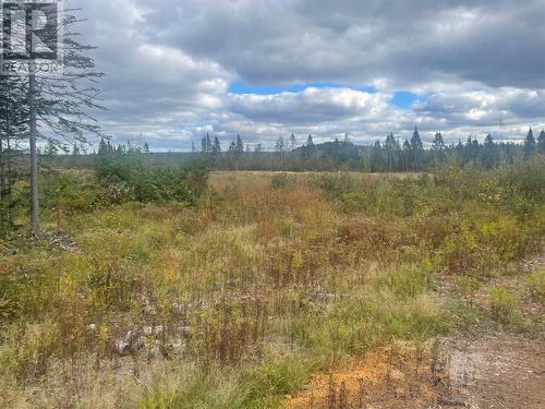 136333 Peter'S Pond, Botwood, NL 