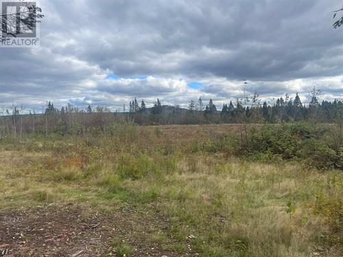 136333 Peter'S Pond, Botwood, NL 