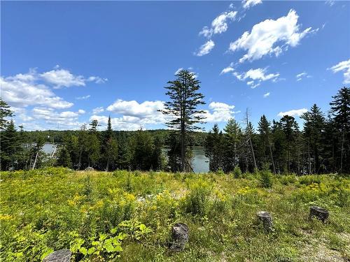 379 Hills Point Rd, Oak Bay, NB 