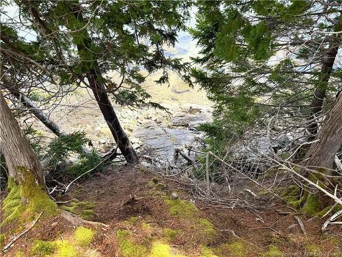 379 Hills Point Rd, Oak Bay, NB 