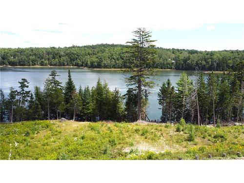 379 Hills Point Rd, Oak Bay, NB 