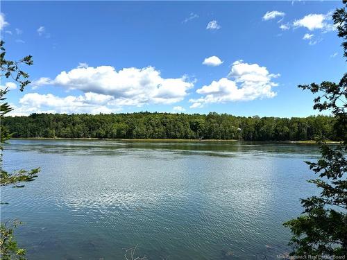 379 Hills Point Rd, Oak Bay, NB 