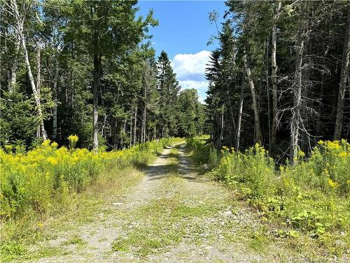 379 Hills Point Rd, Oak Bay, NB 