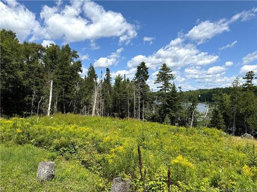 379 Hills Point Rd, Oak Bay, NB 