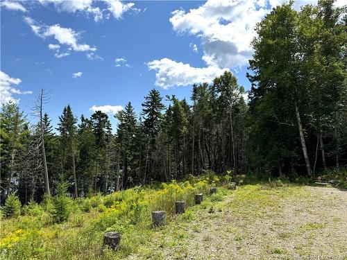 379 Hills Point Rd, Oak Bay, NB 