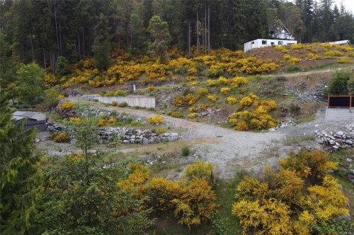 Lot 42 Kestrel Dr, Lake Cowichan, BC 