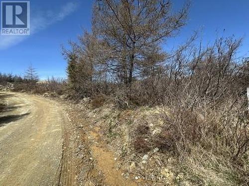 94 -100 Rattle'S Road, Victoria, NL 