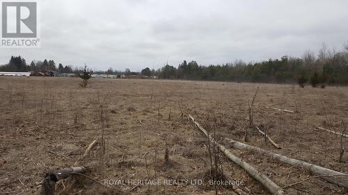 1855 Stevenson Road N, Oshawa, ON 