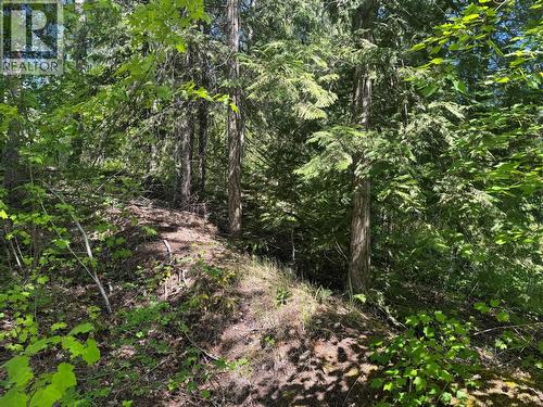 4981 5 Avenue Sw, Salmon Arm, BC 