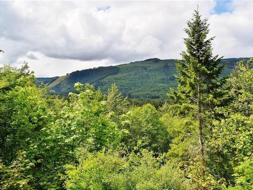 5982 Mayo Rd, Lake Cowichan, BC 