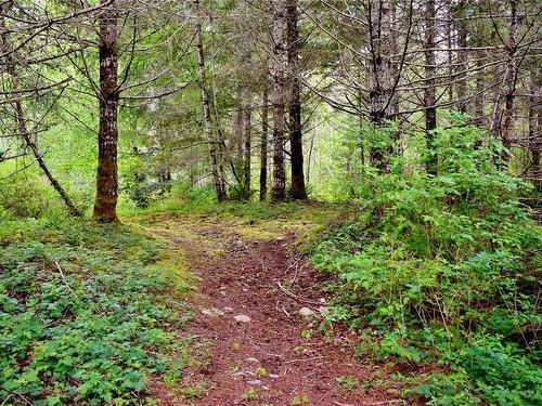 5982 Mayo Rd, Lake Cowichan, BC 