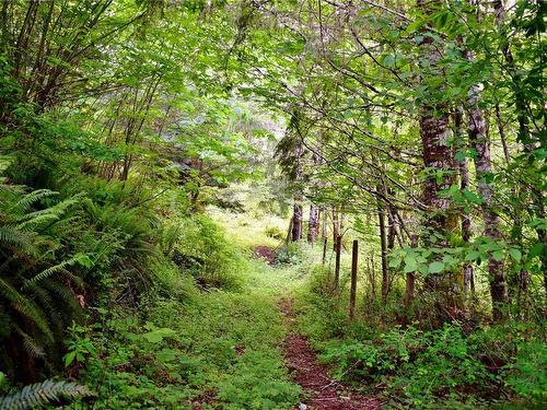 5982 Mayo Rd, Lake Cowichan, BC 