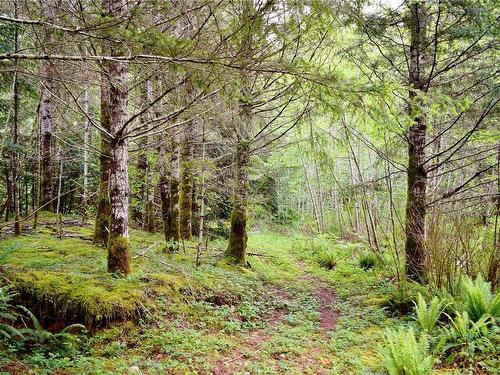 5982 Mayo Rd, Lake Cowichan, BC 