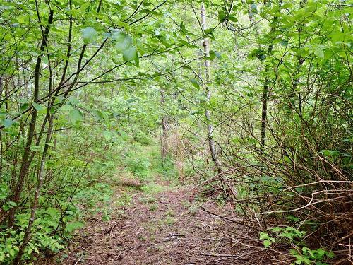 5982 Mayo Rd, Lake Cowichan, BC 